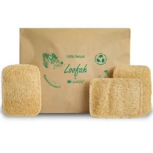 Natural Loofah Kitchen Sponge (3 Pack) - Natural Sponges for Dishes - Eco Friendly and Compostable Sponges - Plant Based Kitchen Dish Biodegradable Sponge