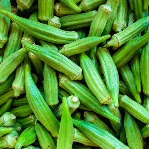 Organic Clemson Spineless Okra Seeds (Abelmoschus esculentus) – Popular Heirloom Variety, Tender, Spineless Pods, Ideal for Southern Gardens – 20+ Seeds
