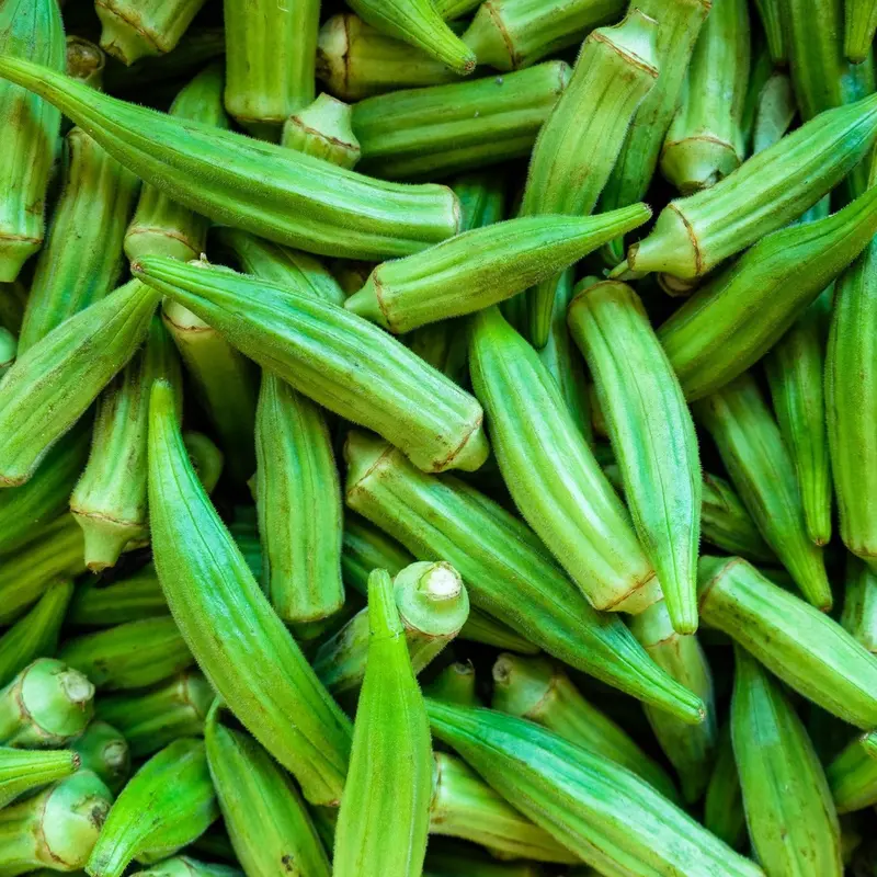 Organic Clemson Spineless Okra Seeds (Abelmoschus esculentus) – Popular Heirloom Variety, Tender, Spineless Pods, Ideal for Southern Gardens – 20+ Seeds