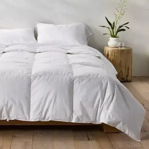Casaluna Premium Down Comforter