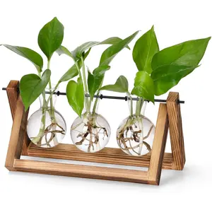 Plant Propagation Station, Desk Terrarium with Retro Wooden Stand - Plant Lover Gifts for Women, Hydroponic Planter for Home Office Decor (3 Bulb Vase)