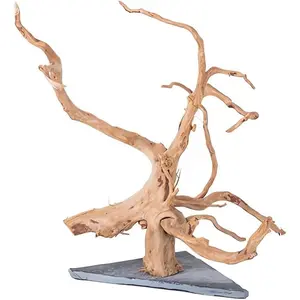 "Authentic Spider Driftwood for Reptile Habitats, Natural Aquarium Decor Wood, 9-14 Inch Vivarium Branches, Safe for Terrariums & Aquascaping, Hand-Selected Hardwood for Enclosures" flip  aquatics aquarium air marimo  moss  ball live aquarium plant