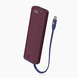 CHAMP Stretch Portable Charger