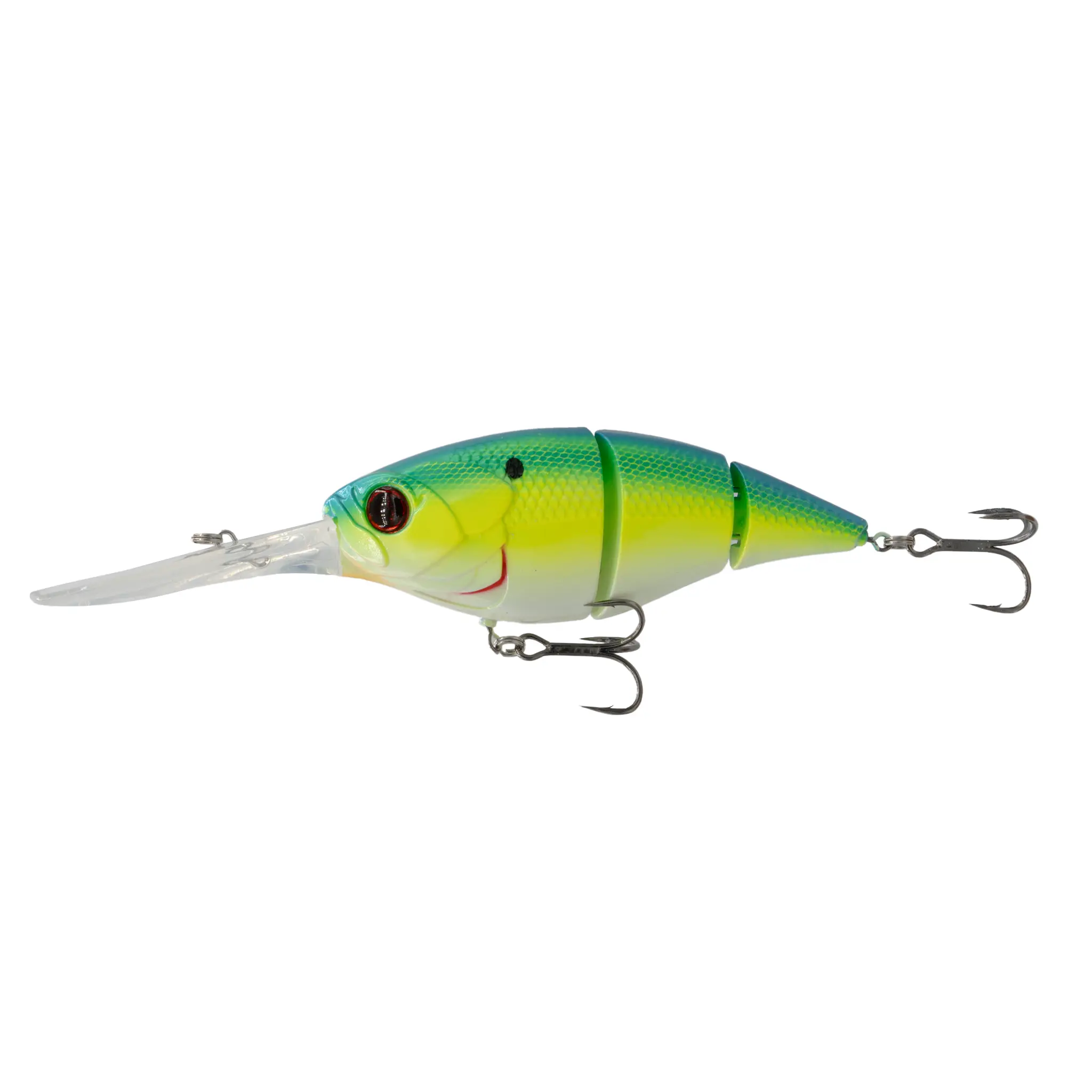 Blue-Treuse Shad
