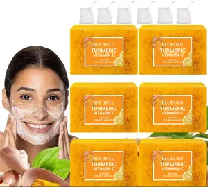 Lemon Turmeric &Soap Bar, Summer Face & Body Wash for Men & Women, Daily Skincare Cleanser Sets with Soap Saver Bags, Cleansing