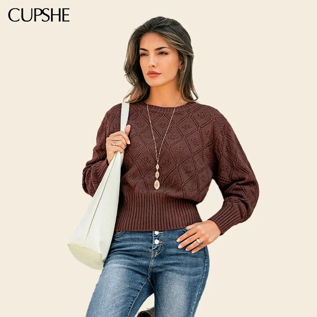 CUPSHE Women's Knitwear Sweater,Warm Cocoa Brown Crew Neck Long Sleeve Cropped Sweater, Soft Textured Diamond Pointelle Pullover with Hollow Out Detail, Casual Fall Layering Top, Everyday Weekend Wear Womenswear Knitting