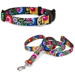 *Blackbird Dog Collar and Leash*