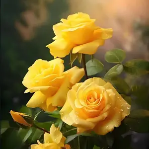 200pcs Yellow Rose Seeds for Planting – Symbol of Friendship and Joy – Bright Perennial Heirloom Shrub for Garden, Patio, Balcony – Grows into Vibrant Rose Bushes – Easy to Grow, Low Maintenance, Great for Decorative Landscaping & Thoughtful Gifts