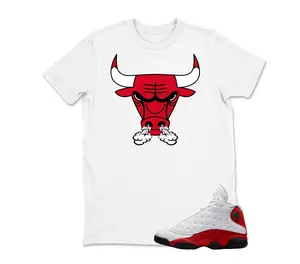 Bull Sneaker Shirt to Match AJ 13 Chicago – AJ13 Chicago Sneaker Match Graphic Tee, Streetwear Unisex T-Shirt