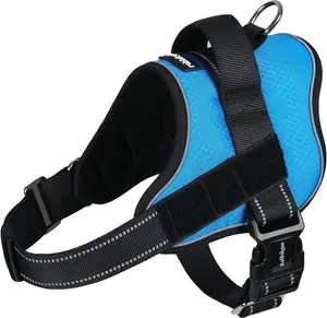 rabbitgoo Easy Walk Dog Harness with One Easy-Fit Buckle