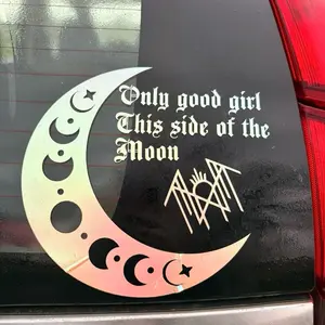 This side of the moon decal