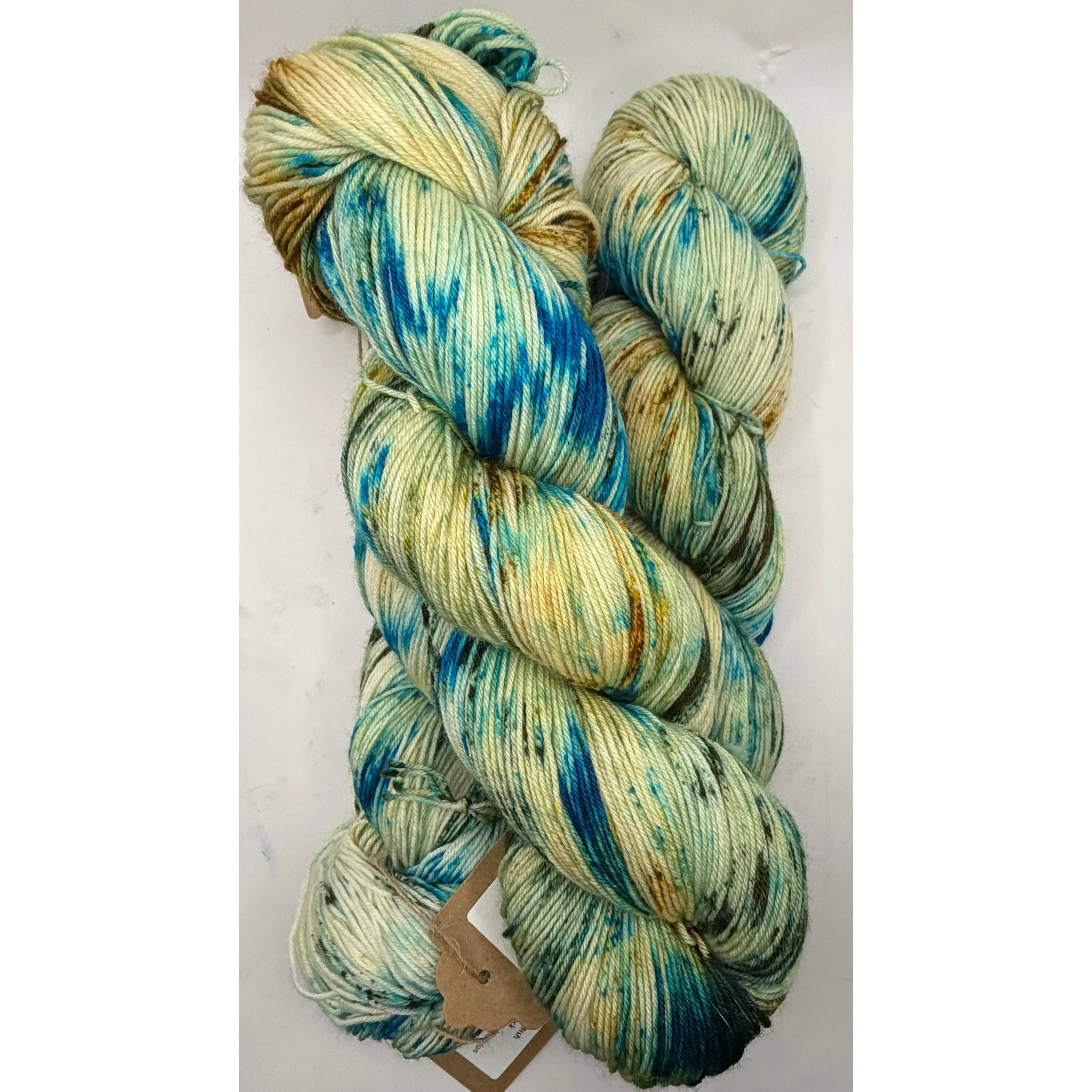 Sonoma Vine & Sky~Evelyn's Sock~75/25 Superwash Merino Nylon