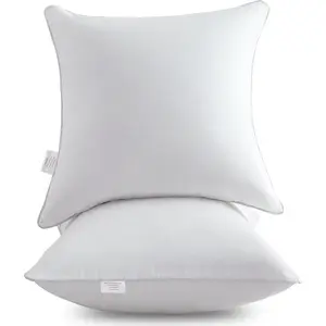 18"x18" Pillow Inserts (Set of 2) - Throw Pillow Inserts with   Cover - 18 Inch Square Interior Sofa Pillow Inserts - Decorative Pillow Insert Pair - White Couch Pillow