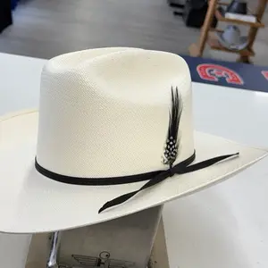 STETSON HAT FEATHER 2 Pack