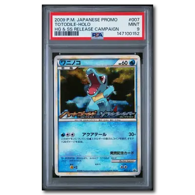 1990 pokemon card cards 1990s Pokmon Cards From the 90s- 1995,96,98. (binder 1) Holy grail' 1990s Pokmon Charizard