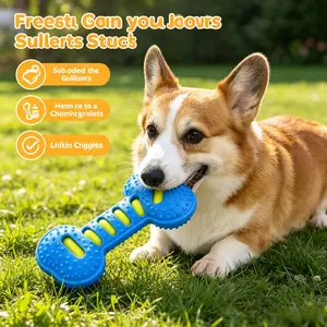 Interactive Rubber Bone Dog Toy with Squeaker | Fun Chew and Play Toy for Puppies Small and Medium Dogs