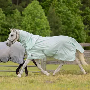 E24032-MJGR Equinavia Brisk Fly Sheet with Detachable Neck - Misty Jade