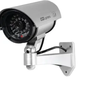 Mock Camera display