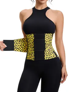 1 Count Shapewear, Body Shaper Flat Belly Cincher Sweat Workout Girdle, Waist Trainer Belt for Women, Fajas, Waist Trimmer Ab Belt, Tummy Control Body Shaper Girdle Cincher, Hot Modeling Belt Corset, Suitable for Daily, Sport, Party