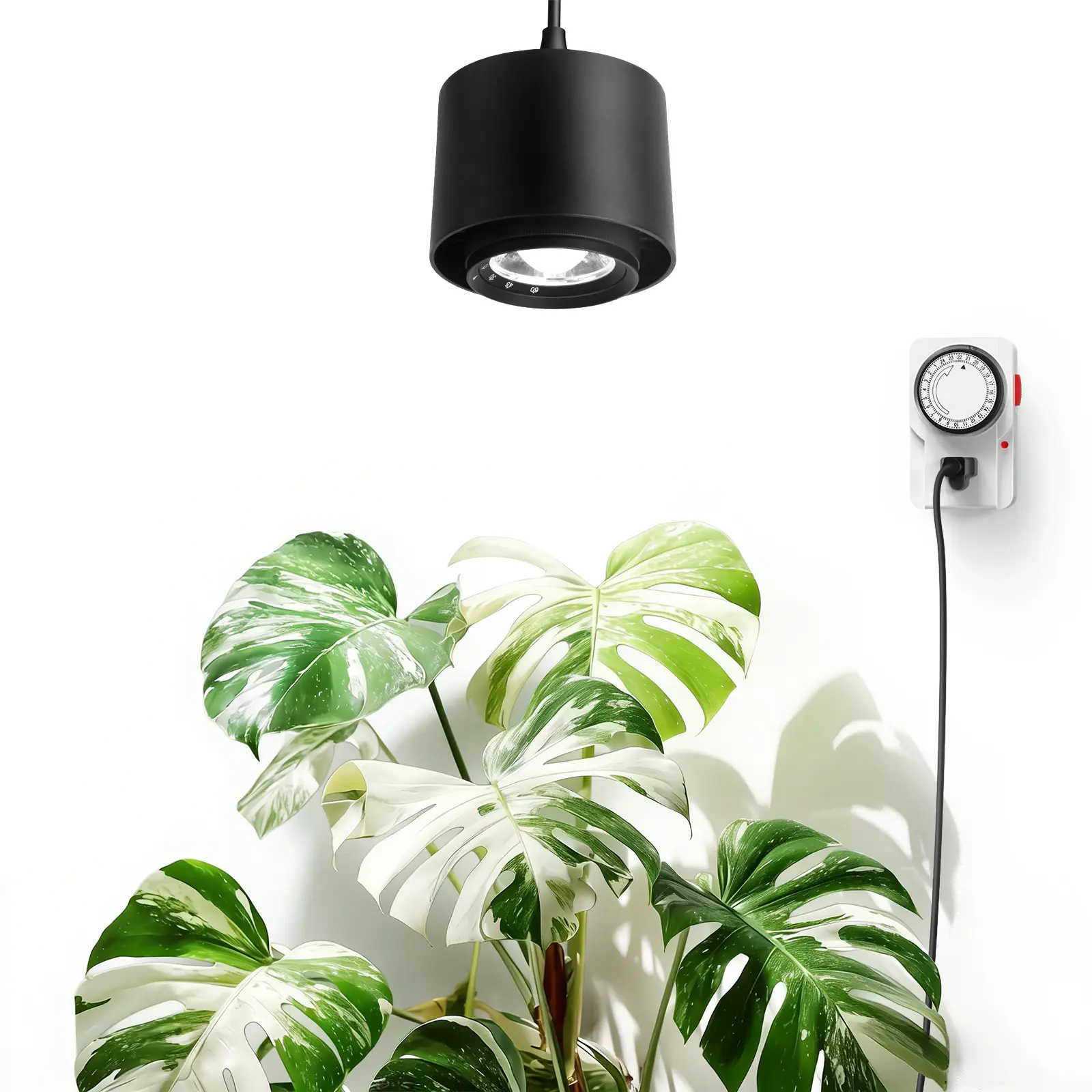 Barrina TR40 Hanging Grow Lights for Indoor Plants, 40W 5000K Full Spectrum, Adjustable Beam Angle, High PPFD, Spotlight Grow Light with Timer for Indoor Growing, Large Tall Plant, Flowers