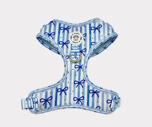 Adjustable No Pull Harness - Dream