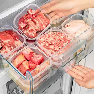 5/10pcs Frozen Meat Storage Containers, Fridge Storage Container, Food Classification & Sealed Freshness, Kitchen Organization Space Saver, Essential for Renting & Home Use