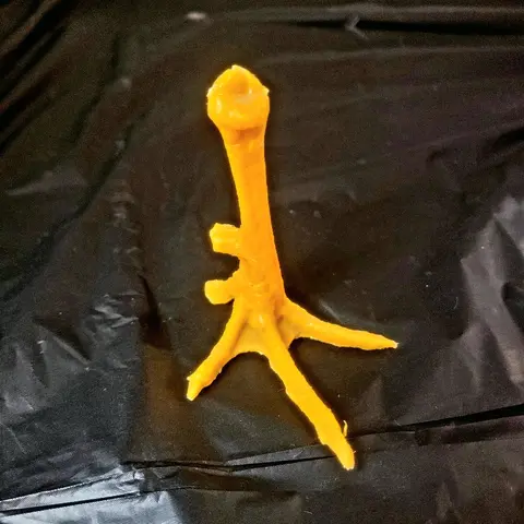 Pata De Plástico De Gallo/ Plastic Rooster Leg Model