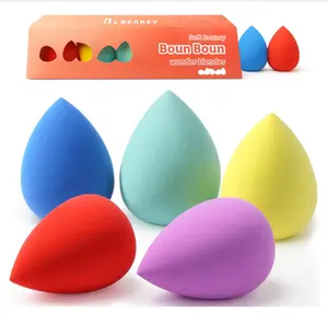 Makeup Sponge Set 5 Pack Micro Porous Low Absorption Soft Latex Free Foundation Beauty Sponges & Blenders for Powder Cream
