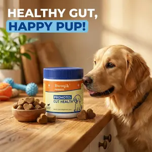 BWOQIK Pet Probiotics for Dogs & Cats - Omega Bite Supplement Supports Digestive Health Easy to Use for Healthy Gut