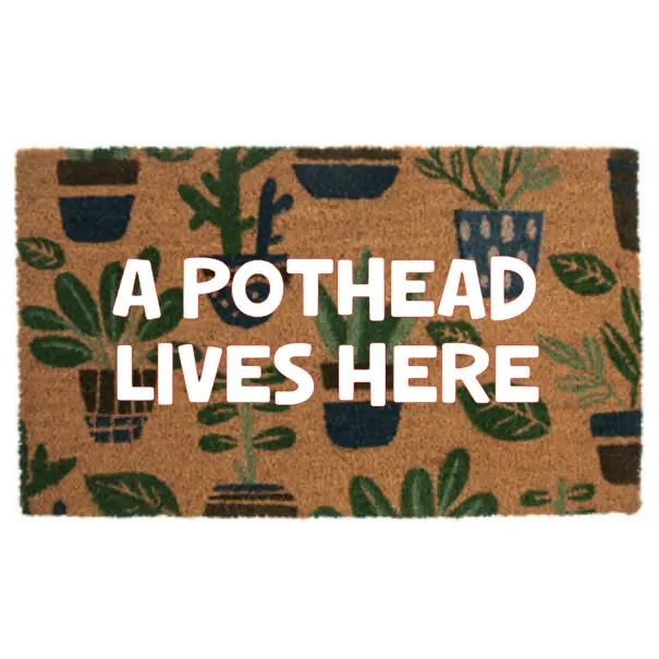 A POTHEAD LIVES HERE MAT