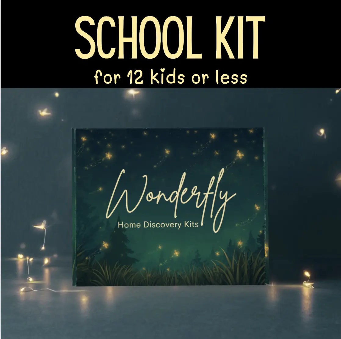 School Kit for 12 Kids or Less!