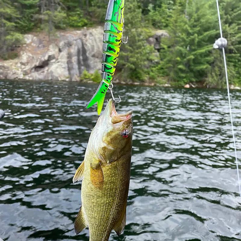 Easy Catch SwimMax Lures with BKK Hooks 3D Realistic Eyes ABS Material 6 Segments for Bass Trout Walleye Ultra Sharp Treble Hooks Lifelike Fishing Baits Easy Catch SwimMax Lures with BKK Hooks 3D Realistic Eyes ABS Material 6 Segments for Bass Trout Walleye Ultra Sharp Treble Hooks Lifelike Fishing Baits