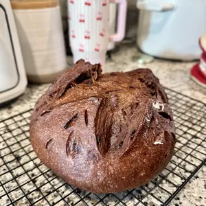 Live Sourdough Starter Natural Yeast Organic Ingredients for Baking Sourdough Pancakes Endless Recipes Well Established Nata - Flour Bake