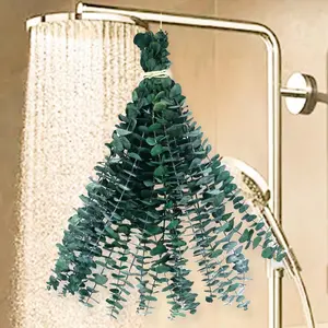 Eucalyptus for Shower, 12pcs Preserved Fresh Eucalyptus Branches Fresh Eucalyptus Leaves Hanging Plants for Shower Hanging, Bathroom SPA