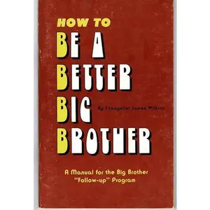 USED-How to be a Better Big Brother by James Wilkins (Paperback)