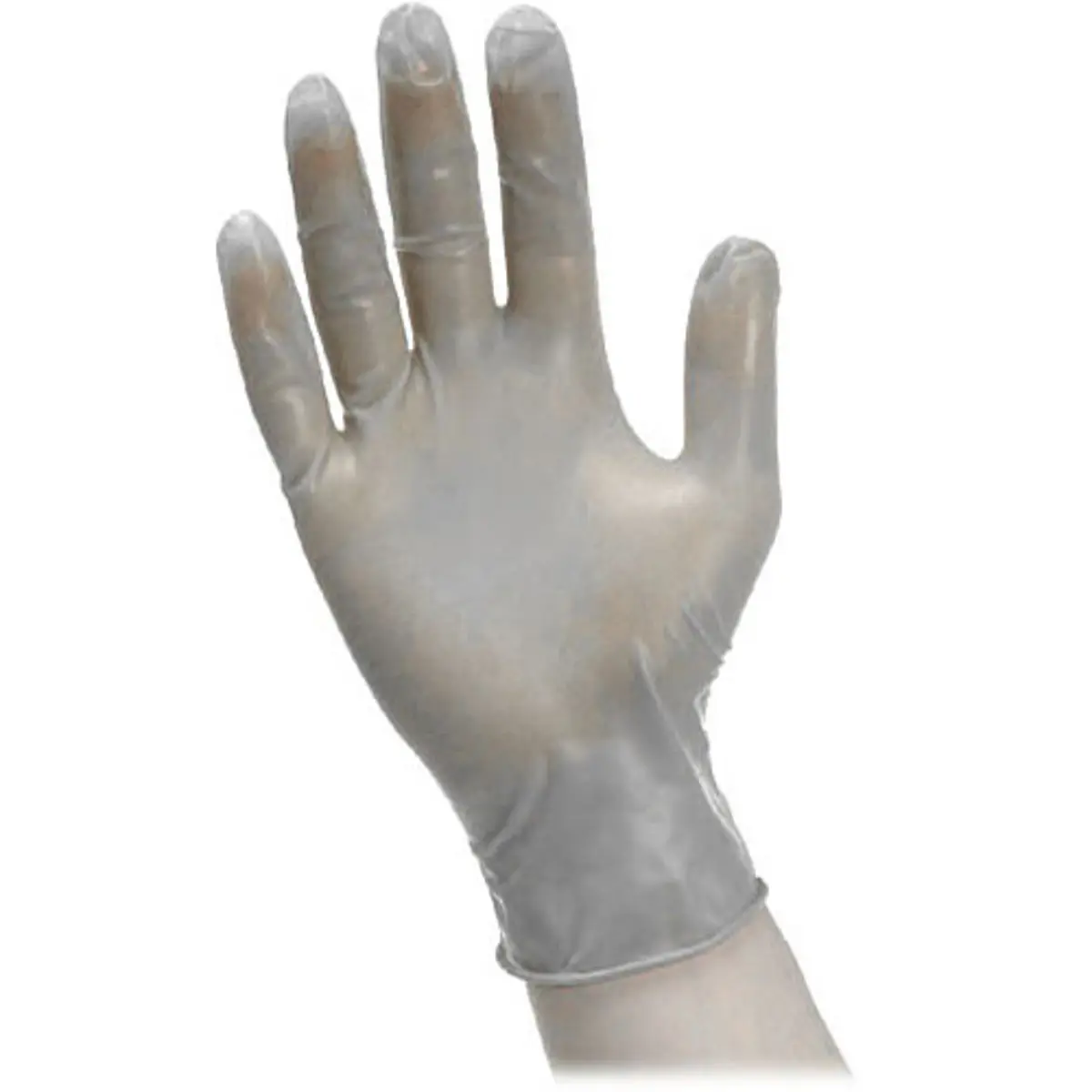 Photographers' Formulary Vinyl Gloves, Large, 100 Pack