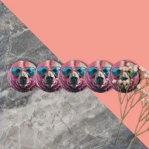Summer bear 5 pc pins