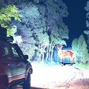 Nilight Headlight Assembly Replacement 1999 2000 2001 2002 2003 2004 F250 F350 F450 F550 Super Duty Black Housing Amber Corner Clear Lens,Headlights Assembly,4 Pack