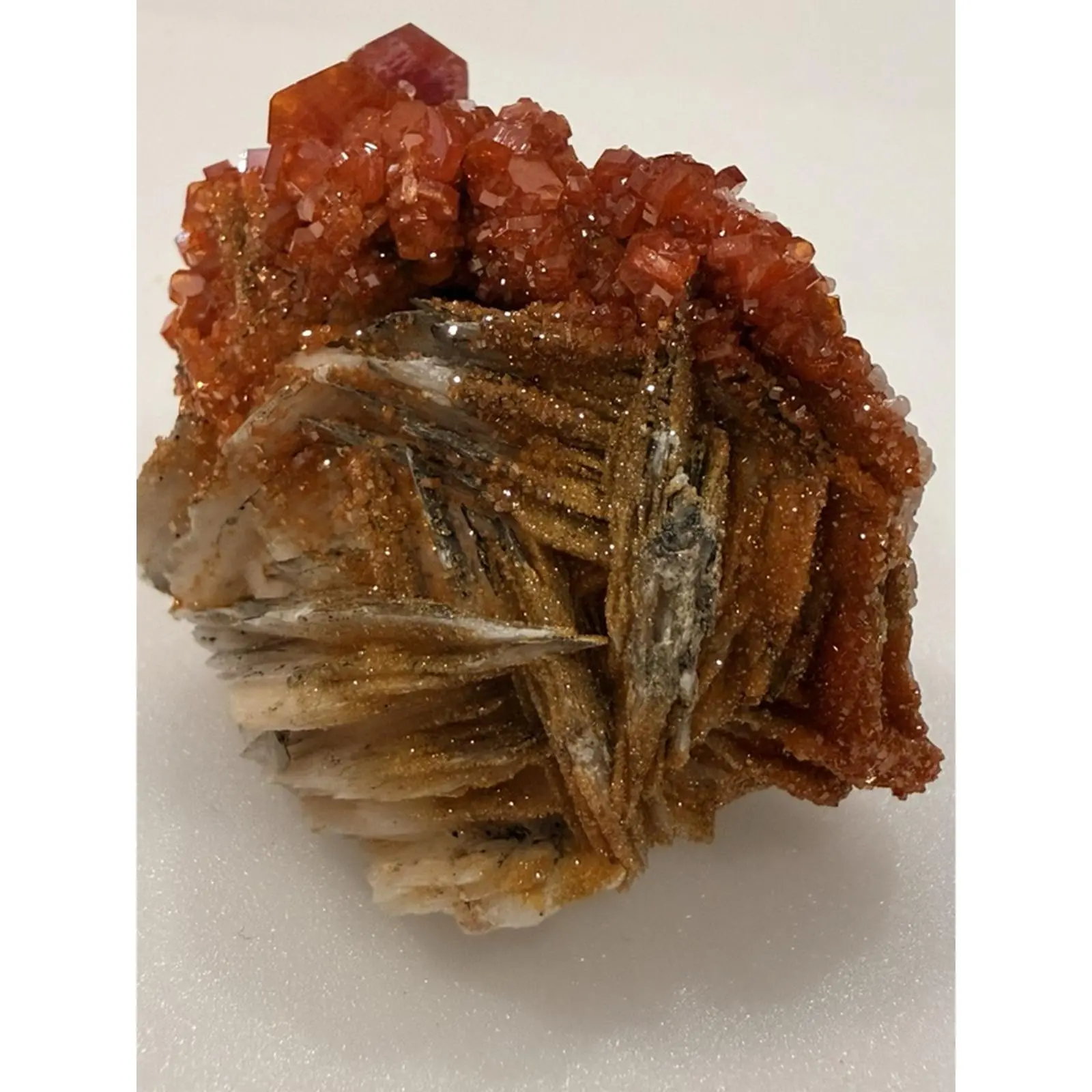 Crimson Fire Vanadinite Crystal on Bladed Matrix Collector Mineral Specimen 70.85g 2" High-Quality Specimen for Collectors