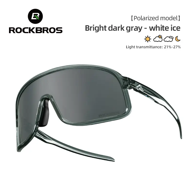 Bright Dark Gray(Polarized lens)