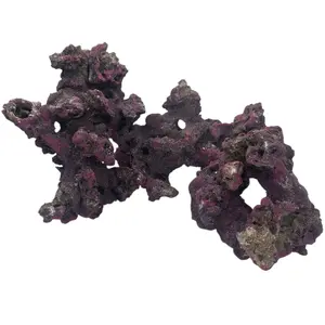 CaribSea Shapes 20lbs Set of Arches, Donuts, and Caves for Reef Aquariums - Live Rock Seeded with Beneficial Bacteria