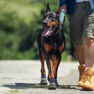 4-Pack Dog Sports Shock-Absorbing Outdoor Shoes, All-Season Pet Non-Slip Short Boots, Suitable for Small to Extra Large Dogs