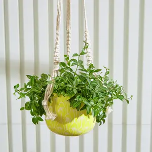CocoBreeze Hanging Planter with Macrame Plant Hanger
