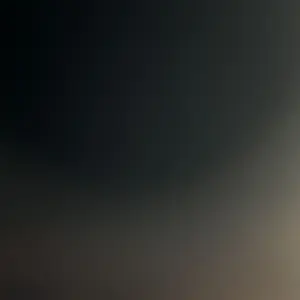 Lee Kum Kee Char Siu Chinese Barbecue Sauce 14 oz