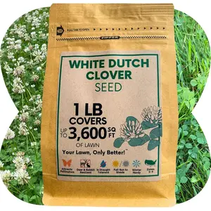 1 Lb White Dutch Clover Seed, Organic Coated, Natural Lawn, Ground Cover, Hunting Food Plot, Covers Up to 3,600 Sqft