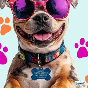 Funny Dog ID Tag – “I Got Lost Prowling for Bitches”