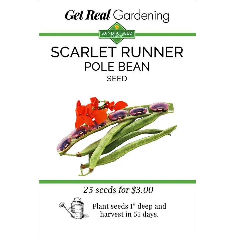 Bean - Scarlet Runner Pole Bean Seeds