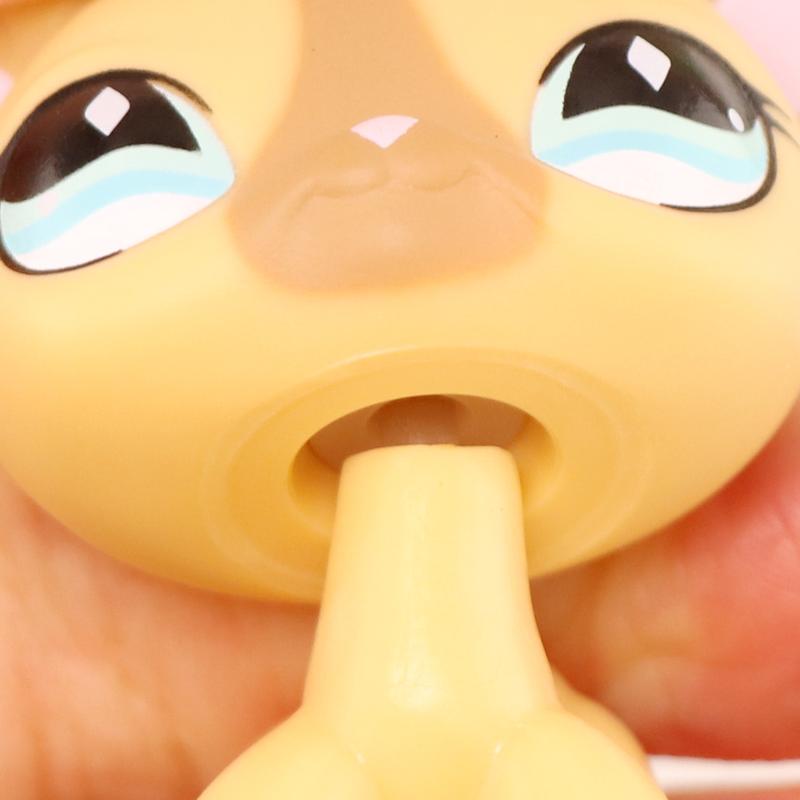 Mini Pet Shop Shorthair Cat  #886 with Accessories Cat Figure compitable with LPS Collection