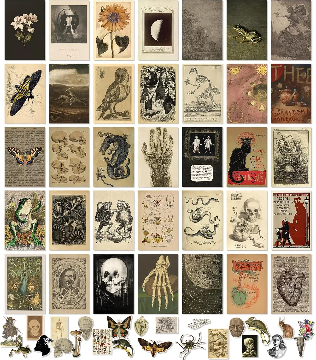 97 Decor Vintage Wall Collage Kit, Cottagecore 35-Piece 4x6 Cardstock Minis, Earthy Forest & Animal Prints, Nature Aesthetic Posters for Bedroom Dorm Gallery Wall