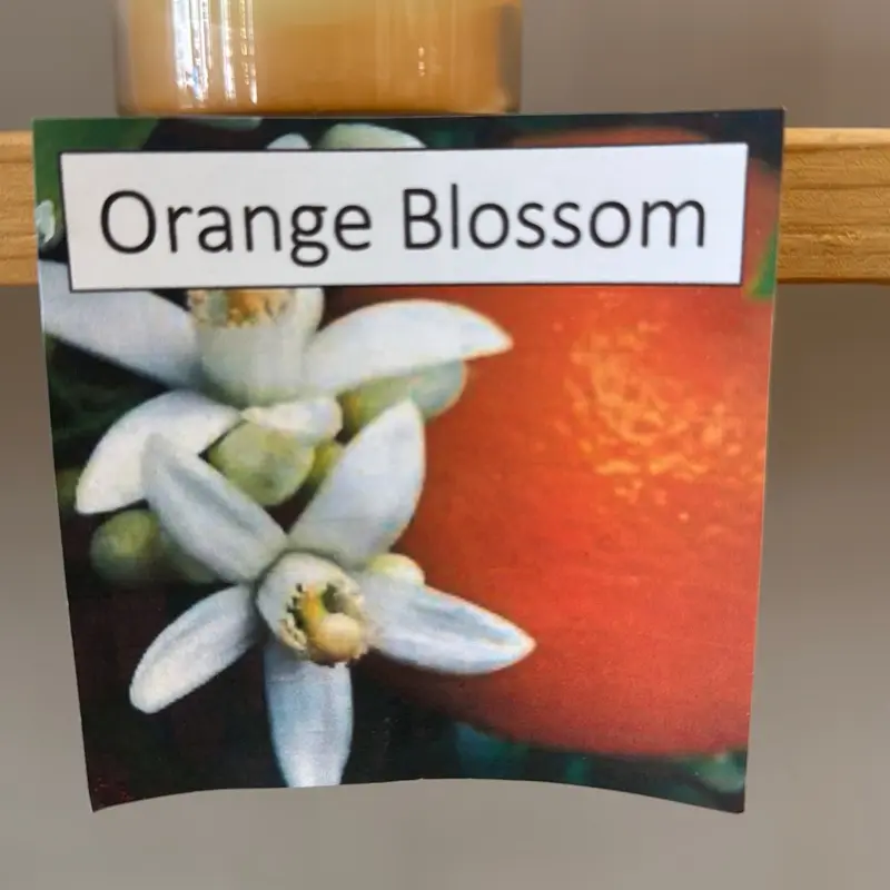 Orange Blossom